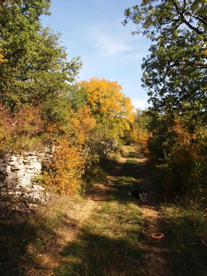 Les Trois Prunelles Saint-Pierre-Toirac Dış mekan fotoğraf